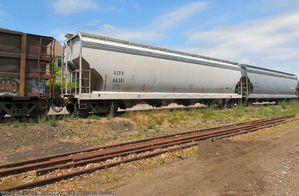 ACFX 66381