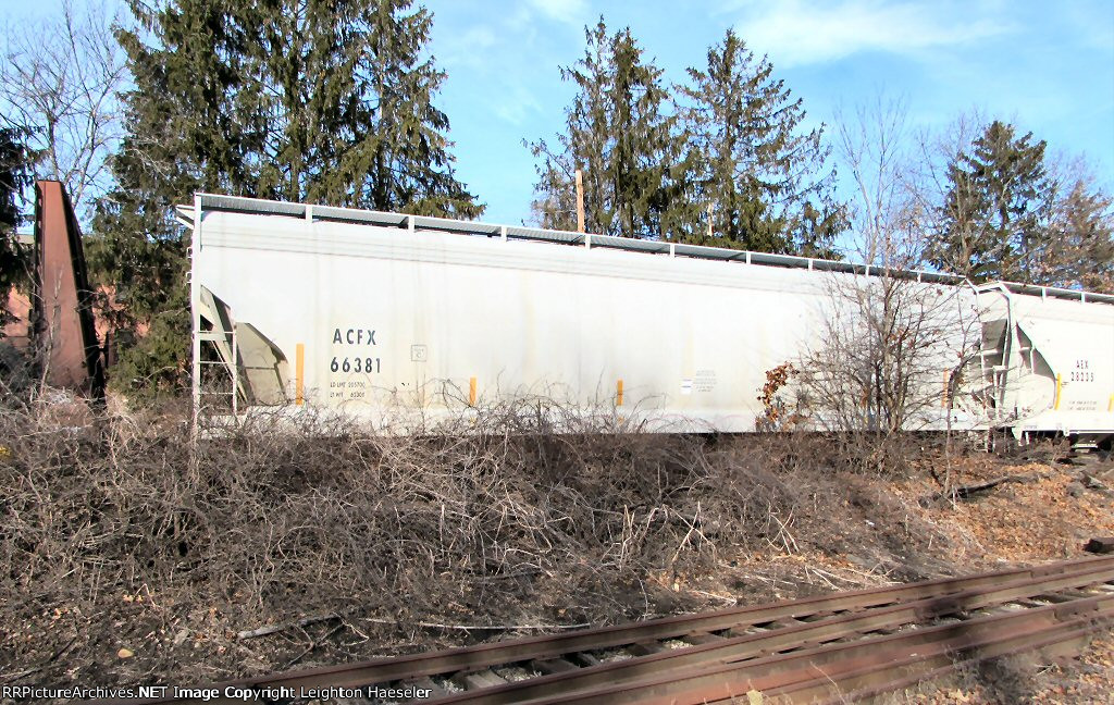 ACFX 66381