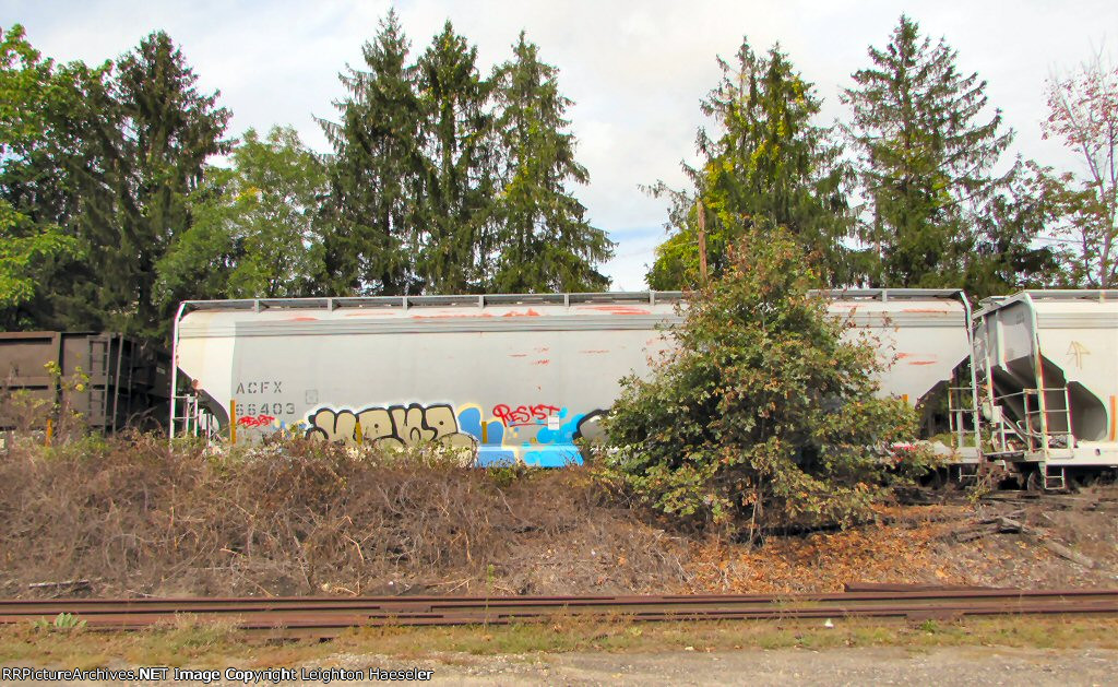 ACFX 66403