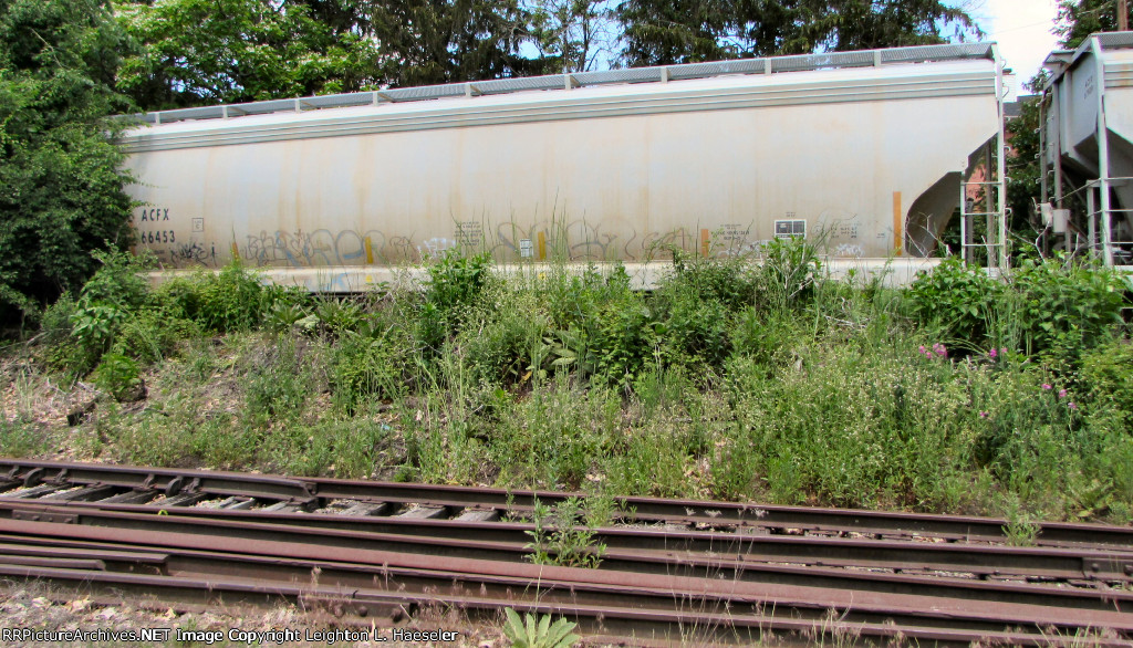 ACFX 66453