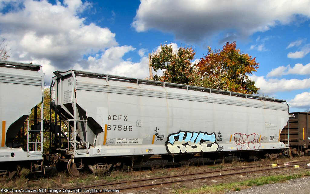 ACFX 67586