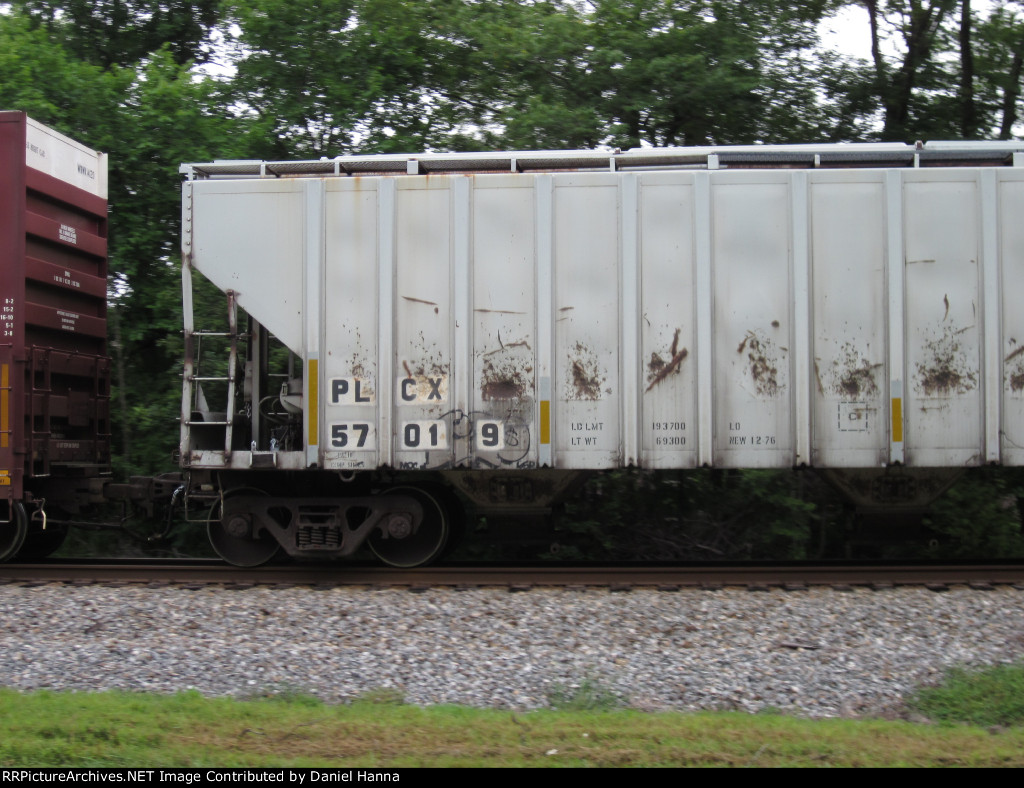 PLCX 57019