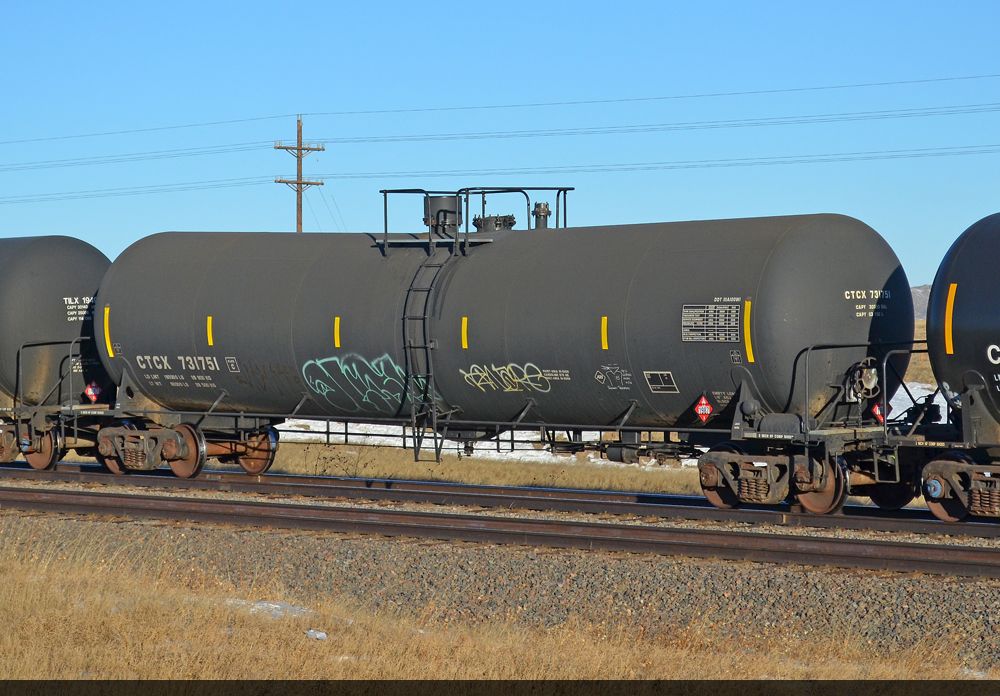 CTCX 731751