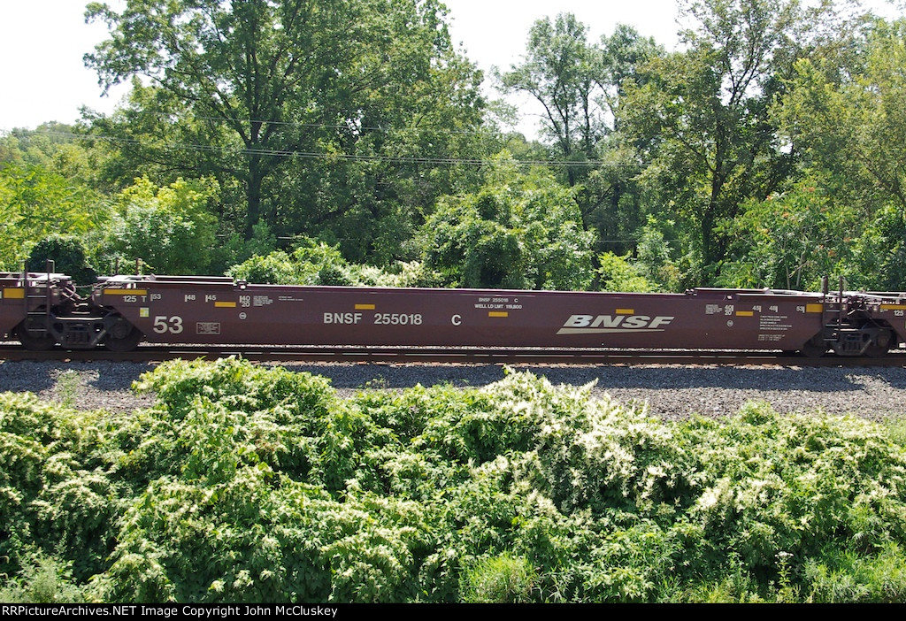 BNSF 255018
