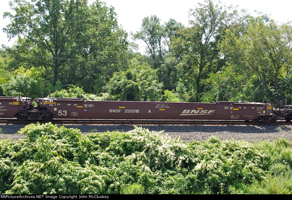 BNSF 255018