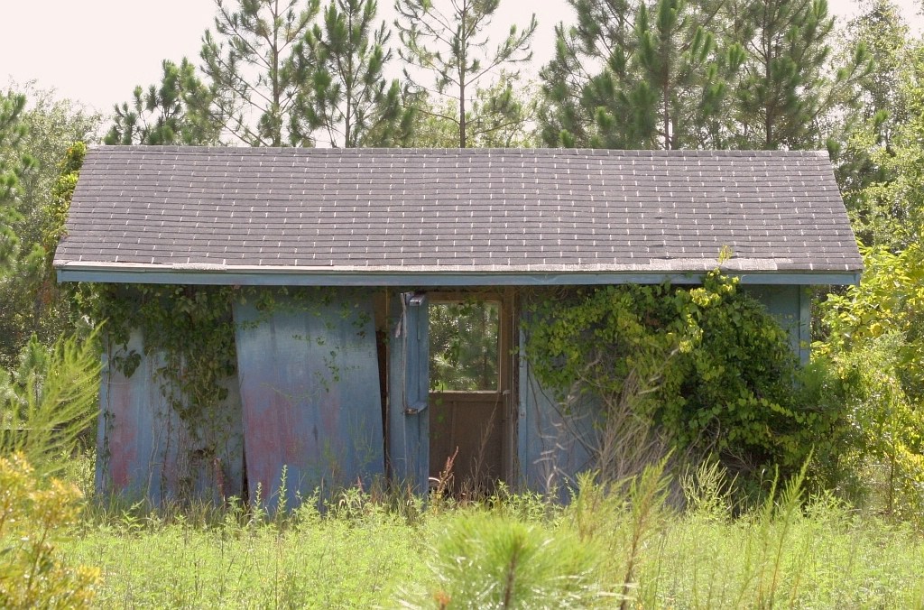 Apalachicola Northern yard shack