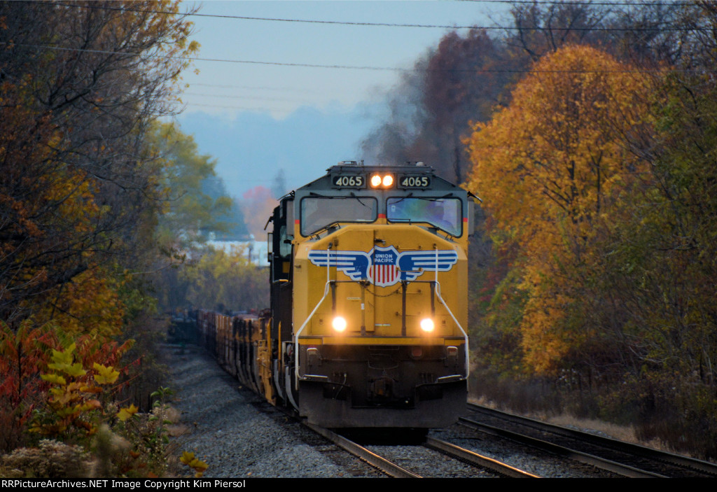 UP 4065 NS Train 24Q Baretable