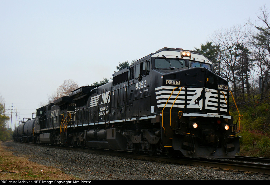 NS 8393 64T Ethanol Loads