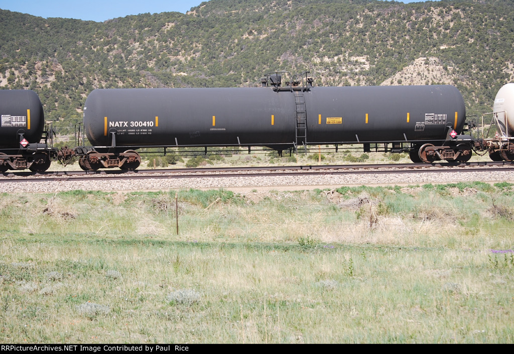 NATX 300410