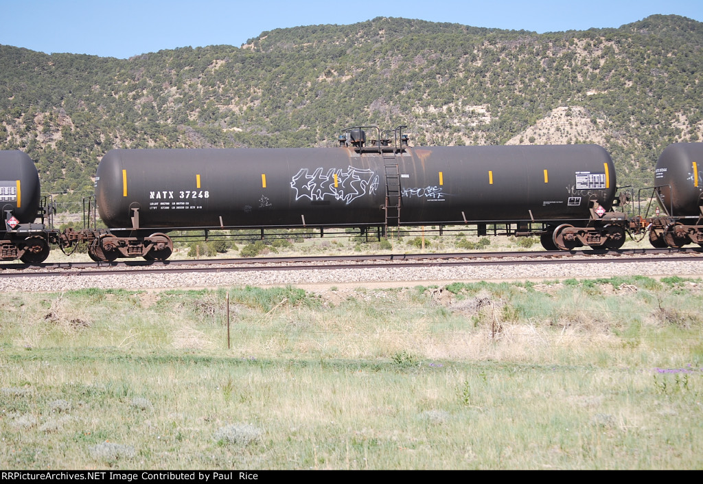 NATX 37248