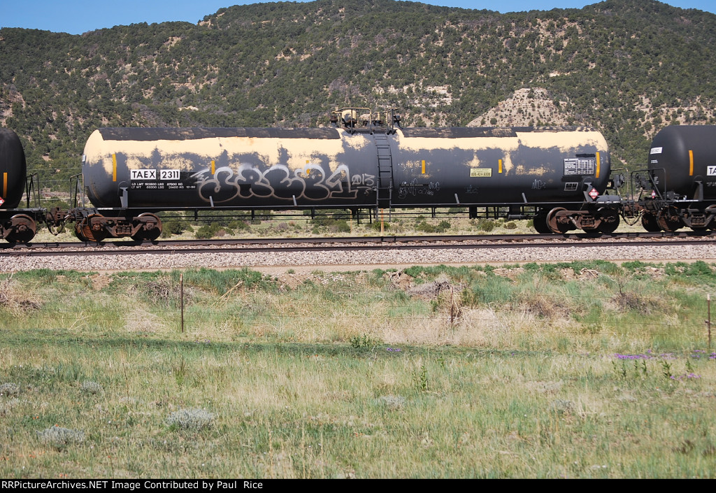 TAEX 2311