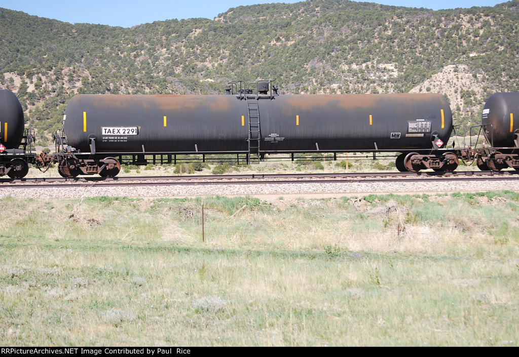 TAEX 2291