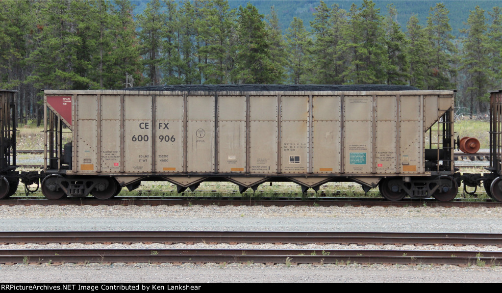 CEFX 600906