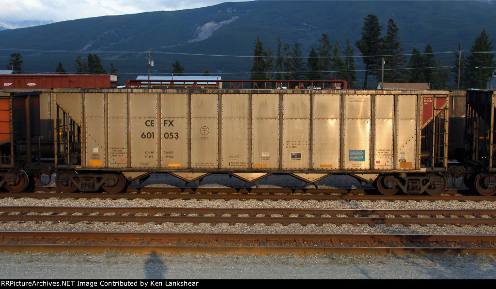 CEFX 601053