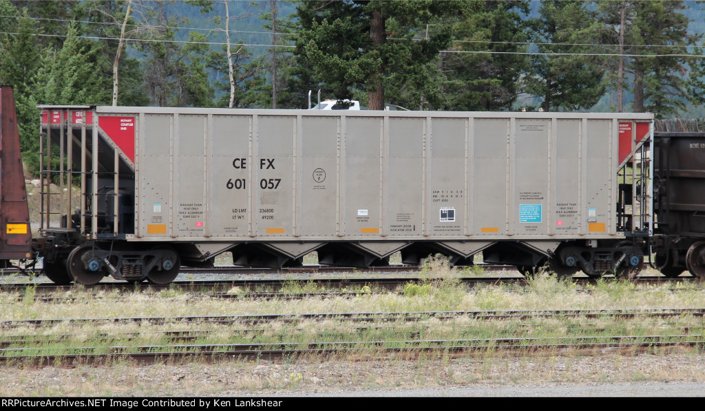 CEFX 601057
