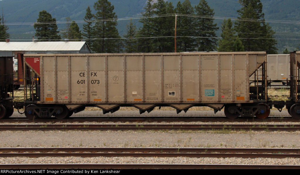 CEFX 601073