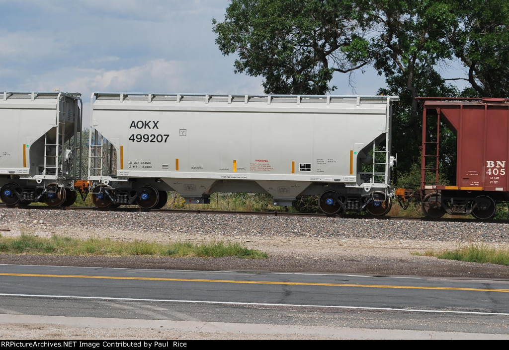 AOKX 499207