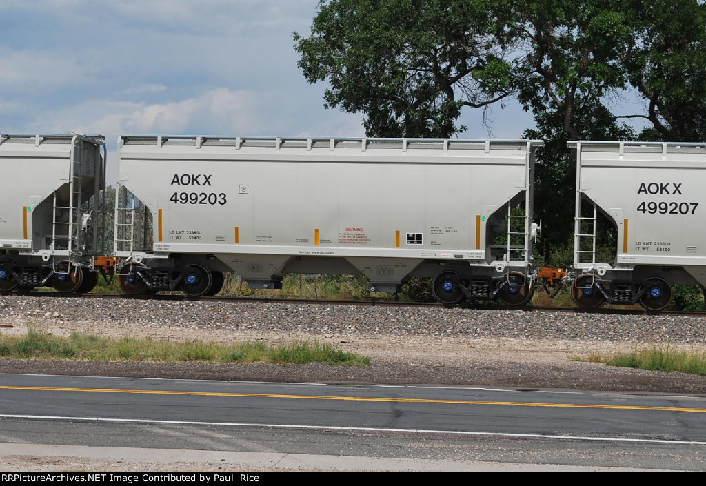 AOKX 499203