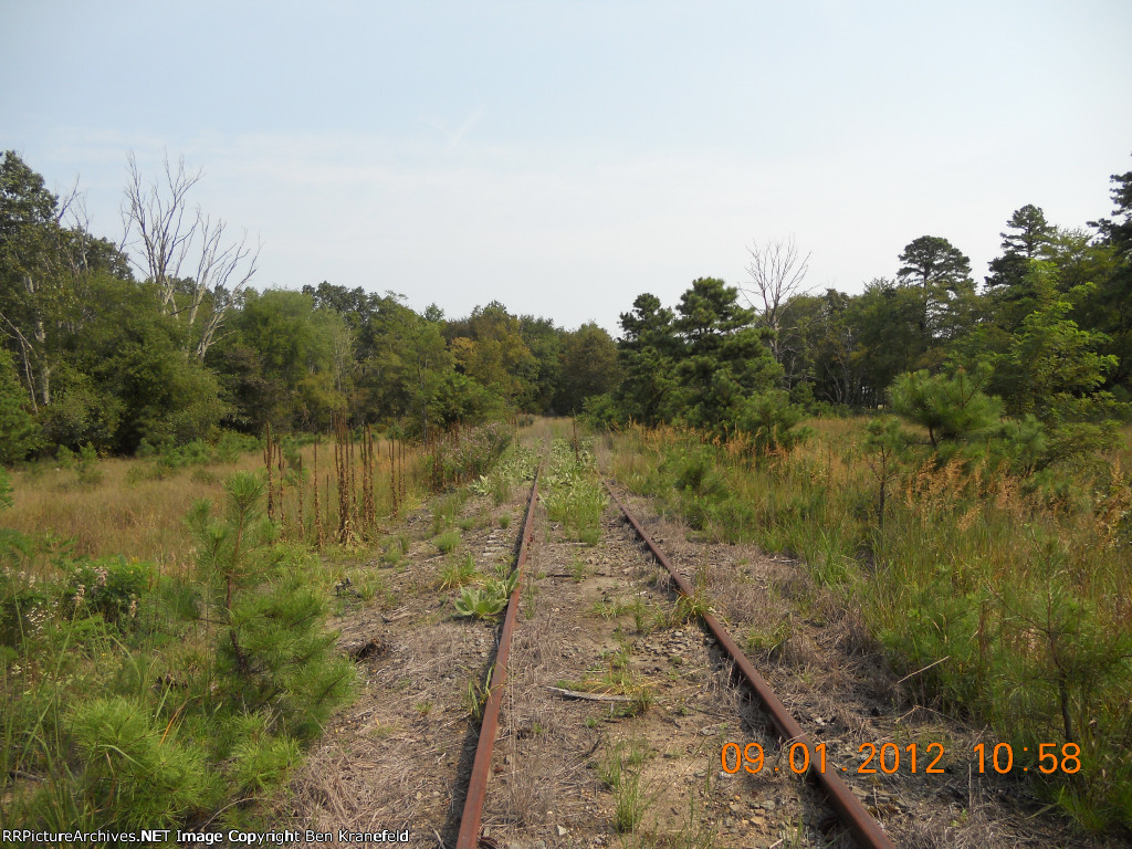 Looking towards Whiting