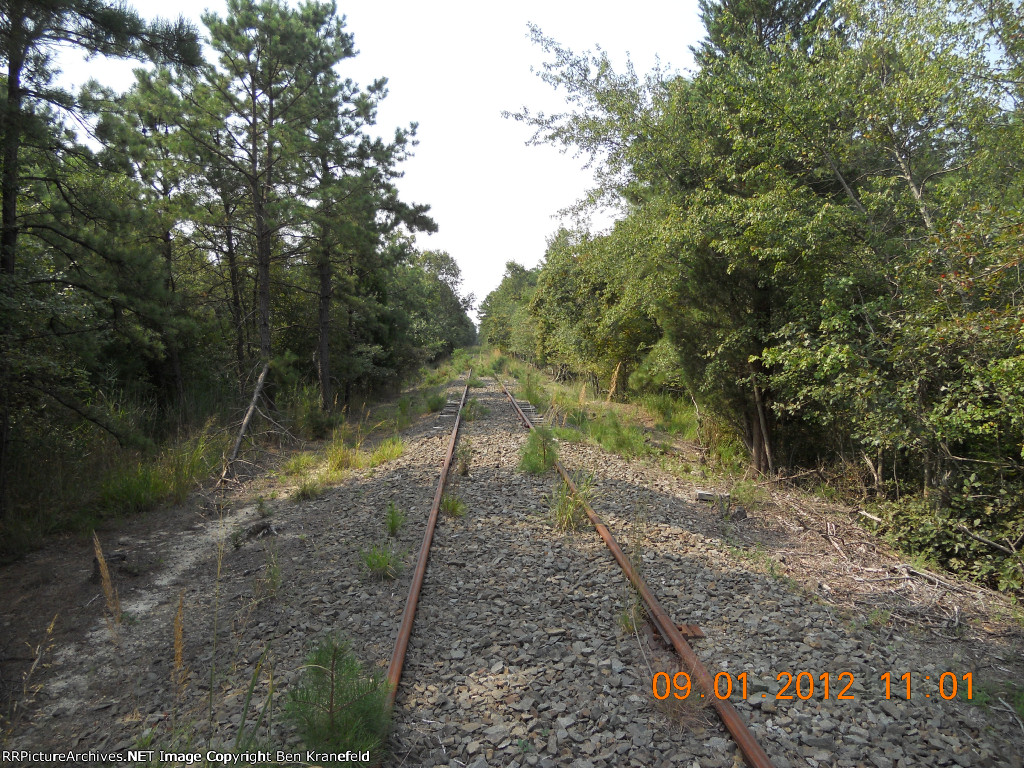 South of Roosevelt City Blvd