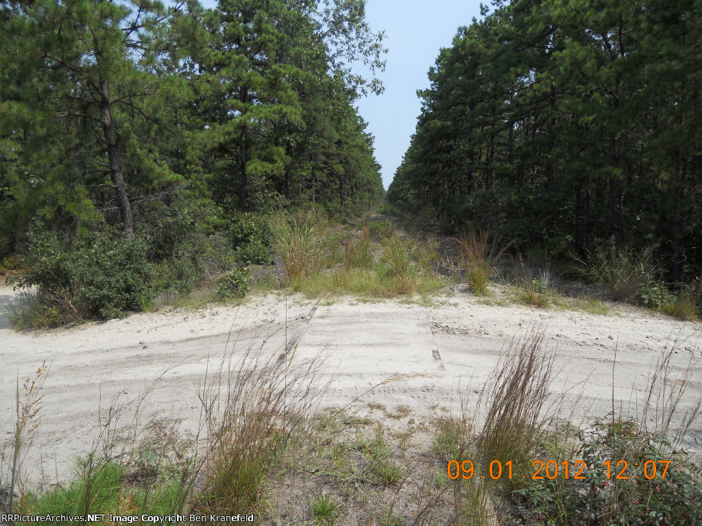 St Marys Ave crossing