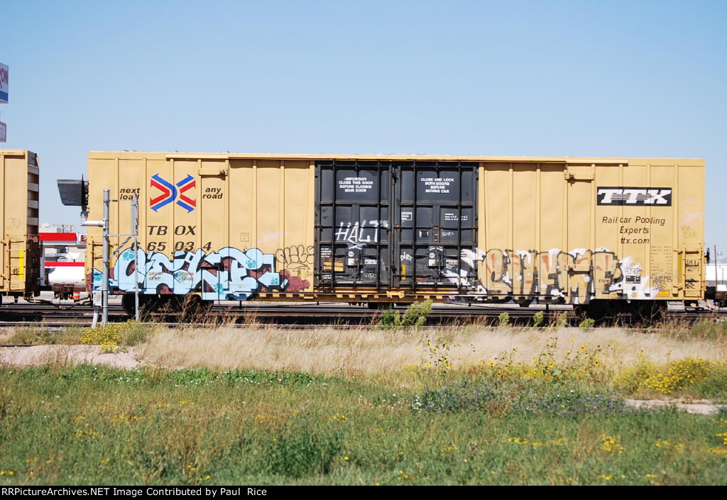 TBOX 665034