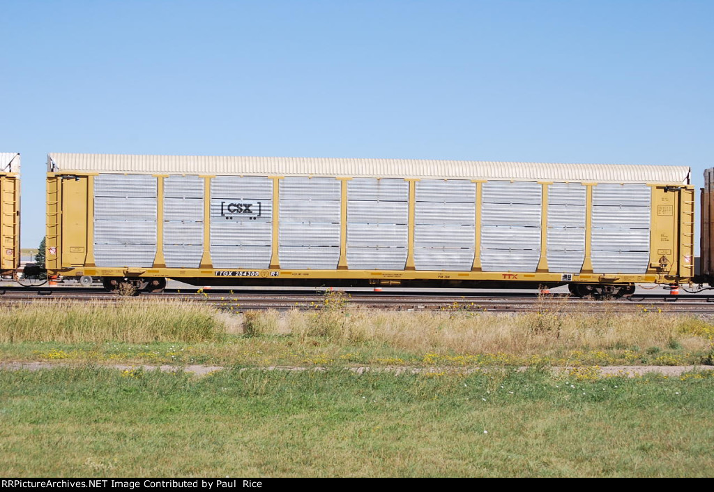 TTGX 254300