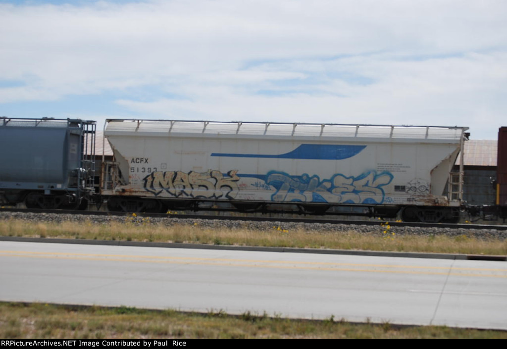 ACFX 51393