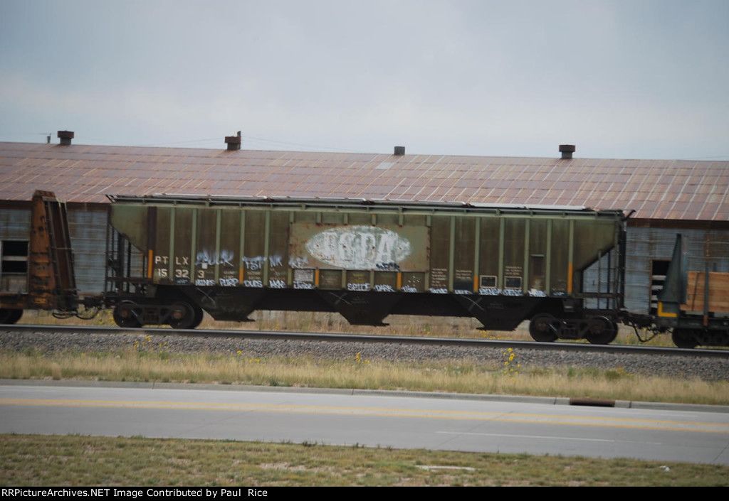 PTLX 15323