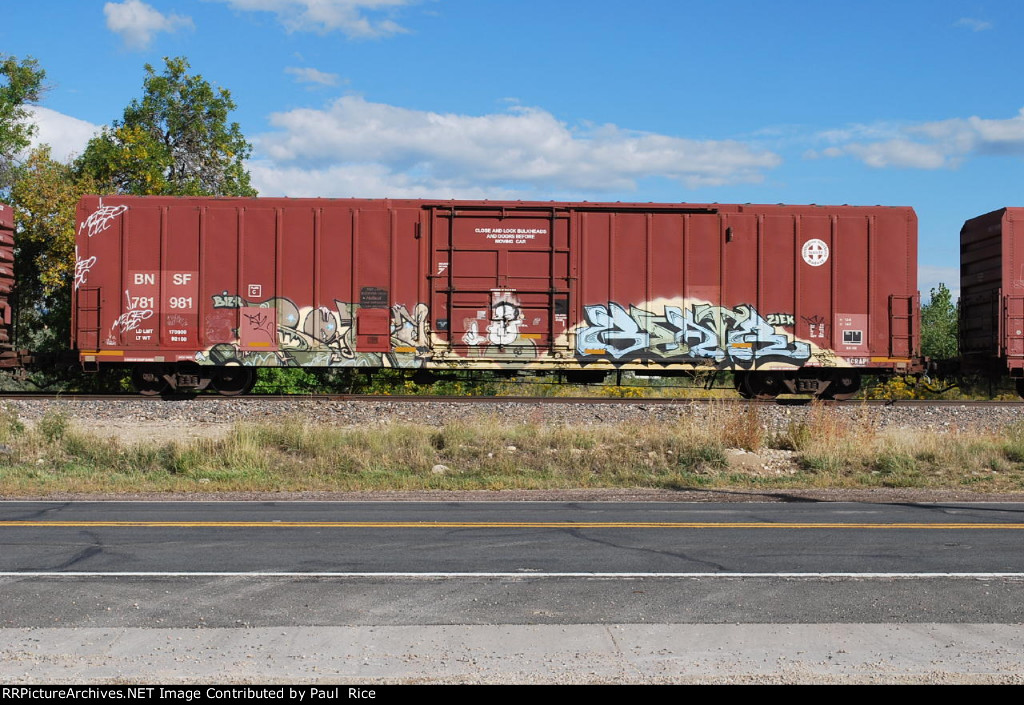 BNSF 781981