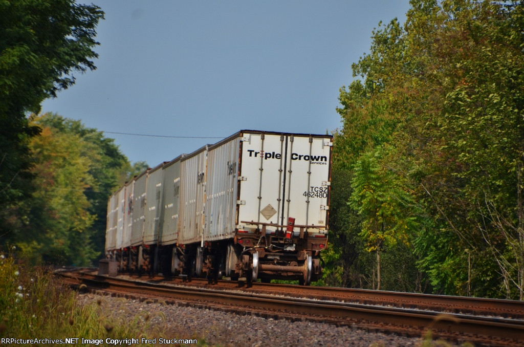 TCZS 462480 is new to rrpa.