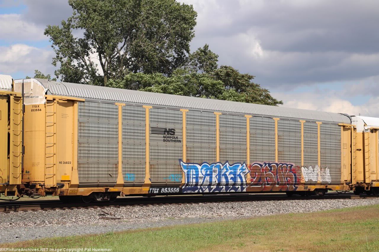 TTGX 853556