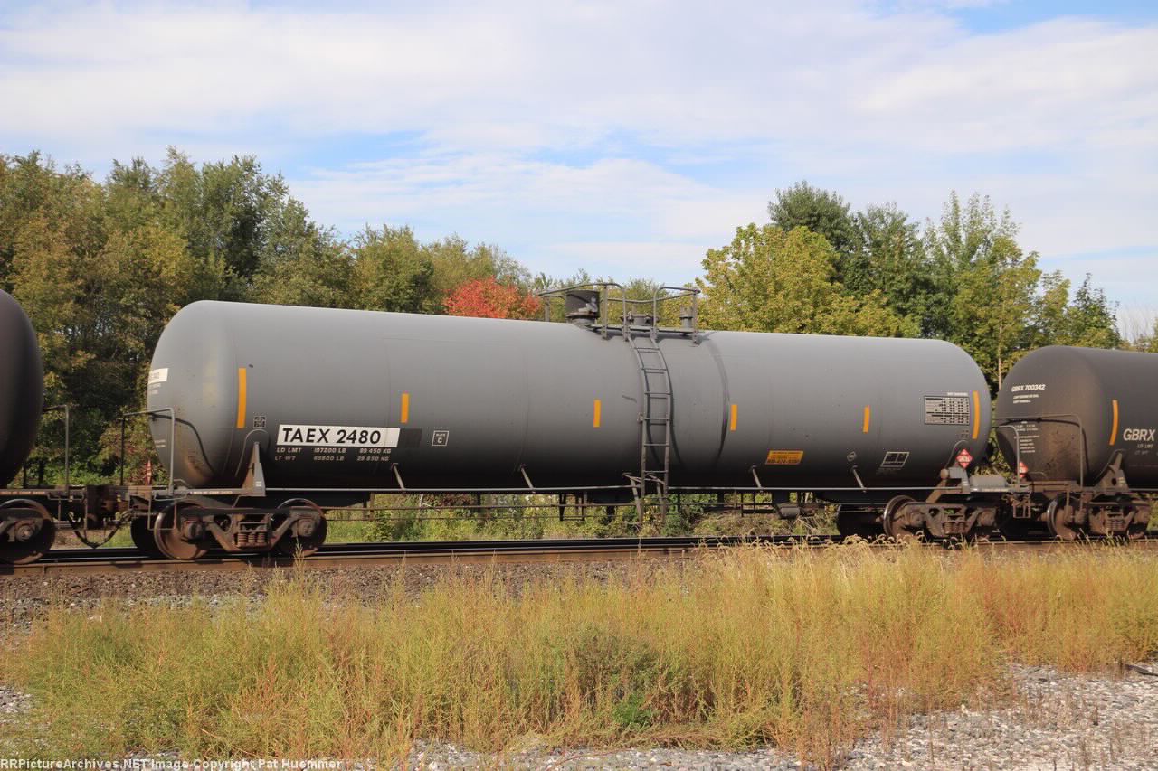 TAEX 2480