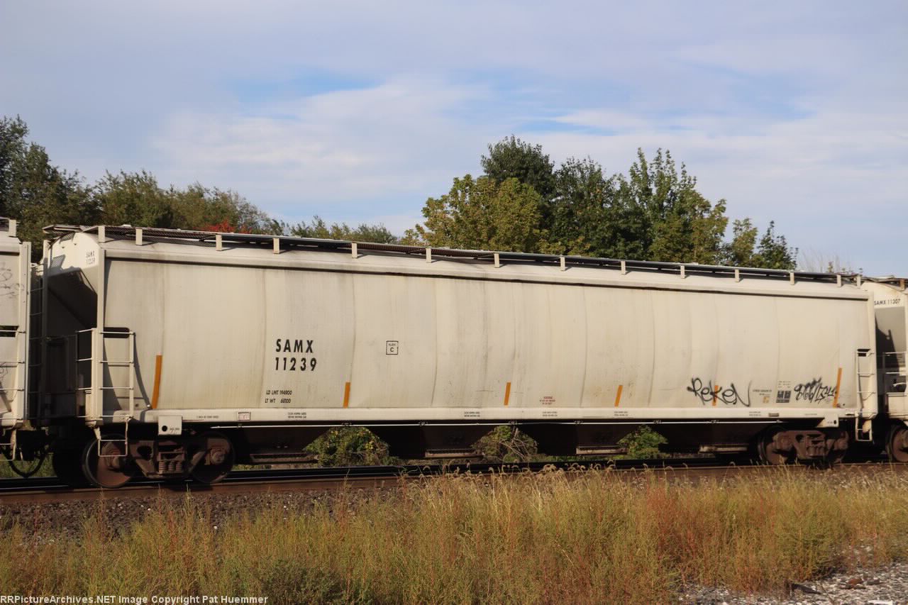 SAMX 11239