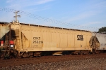 CSX 255316