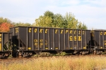 CSX 298317