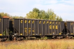 CSX 298446