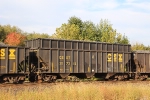 CSX 297365