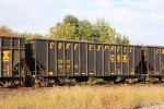 CSX 298181