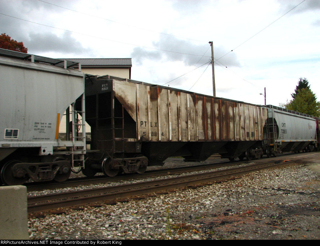 PTLX 15884
