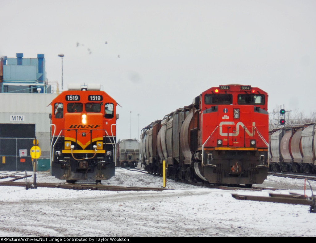 BNSF 1519 and CN 8814