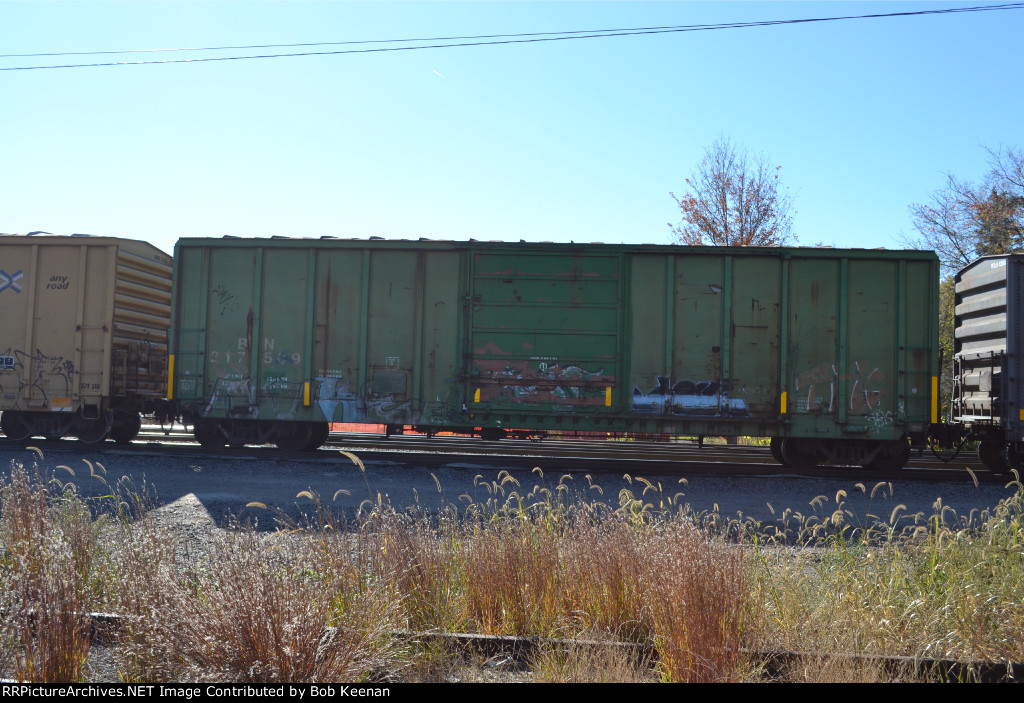 BN 217509
