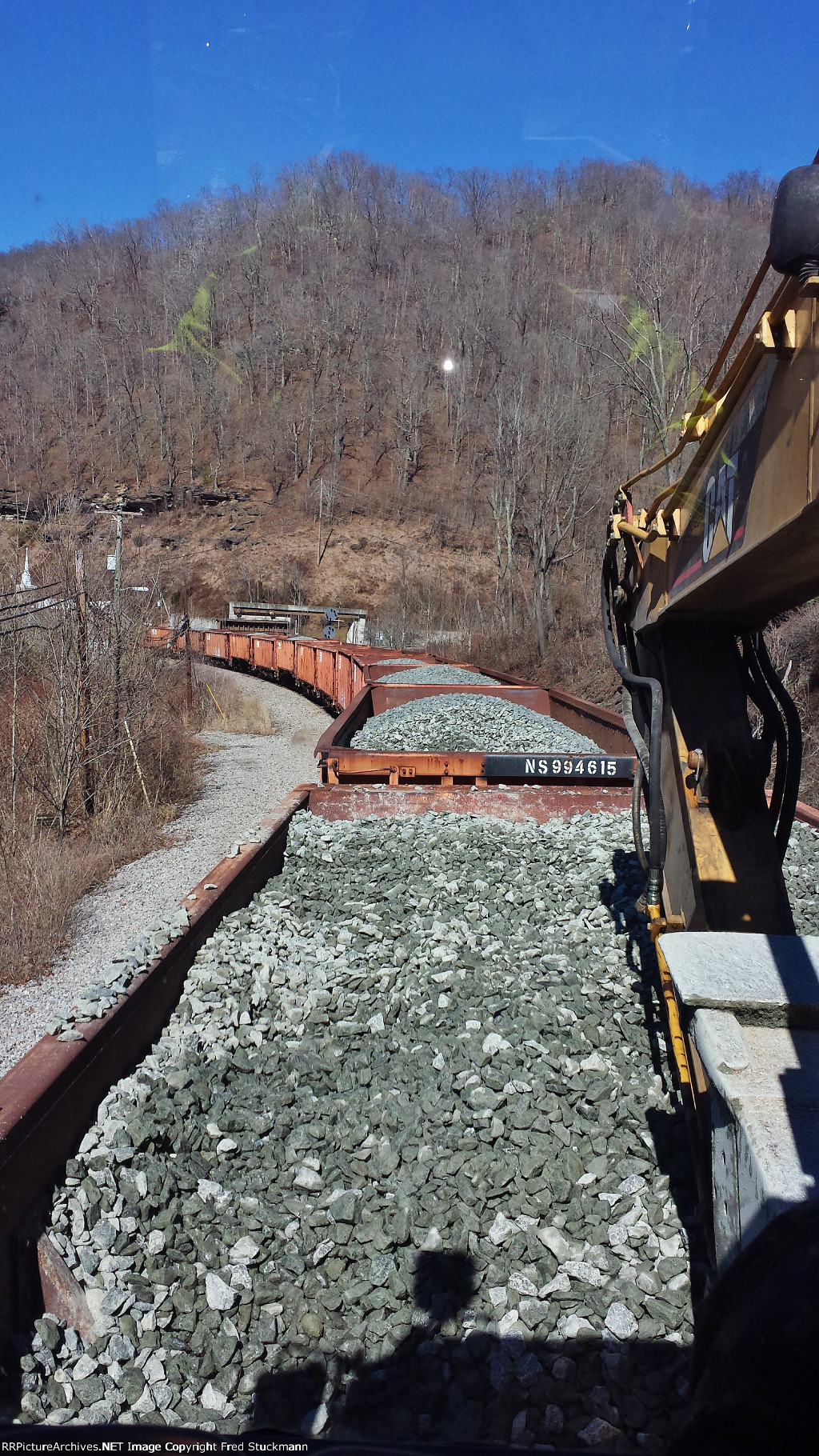 Wonder what's reflecting in the woods.