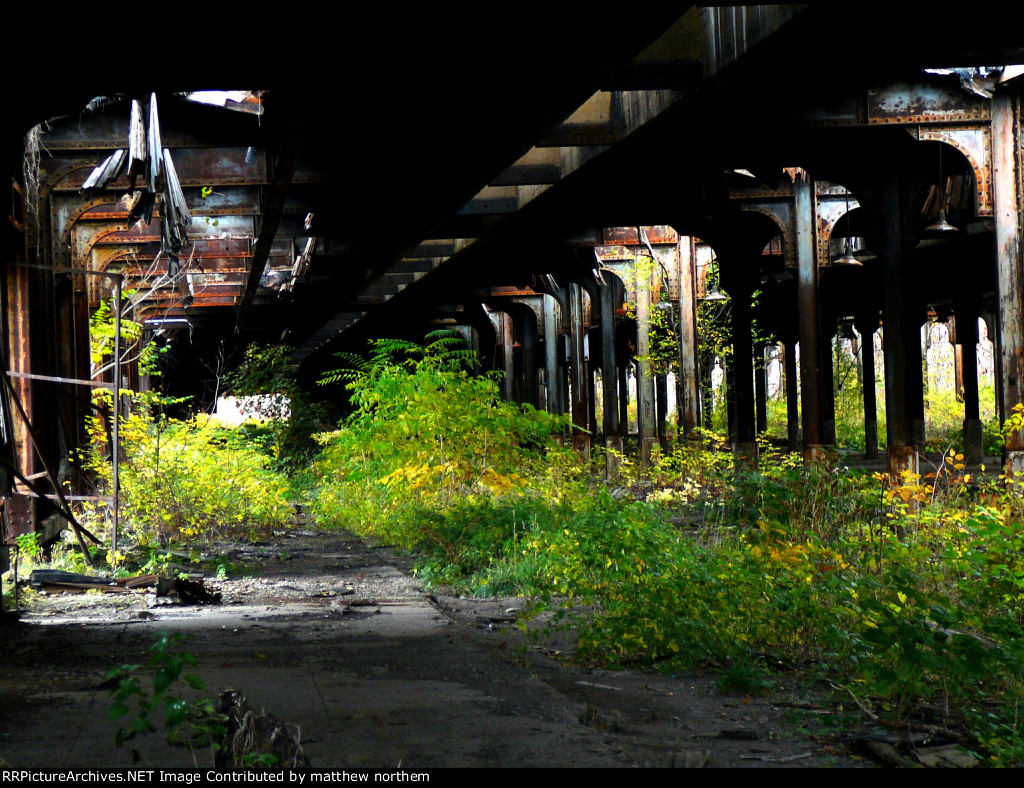 REA Building that's left in Buffalo NY by Buffalo Central Terminal