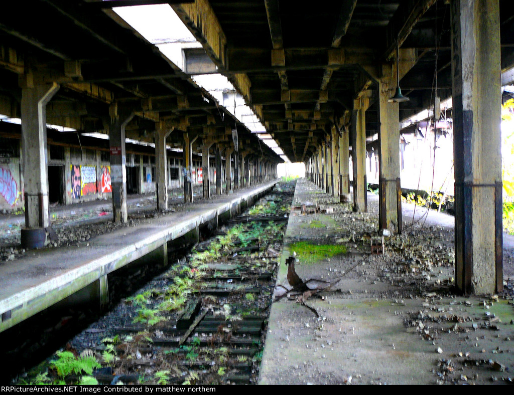 REA Building that's left in Buffalo NY by Buffalo Central Terminal