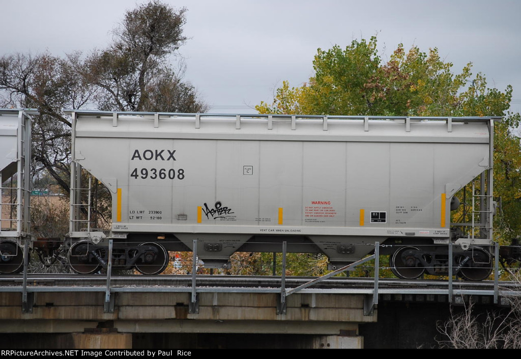 AOKX 493608