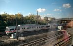 Septa
