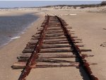 Cape May Sand Plant Tracks