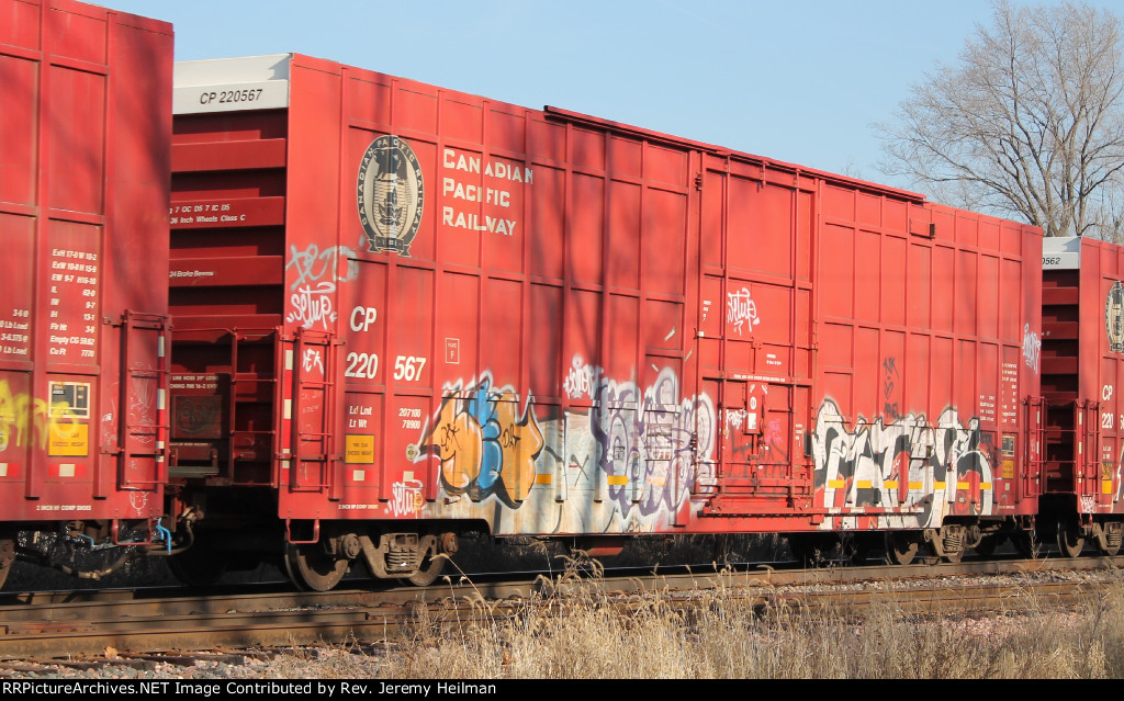 CP 220567 (1)
