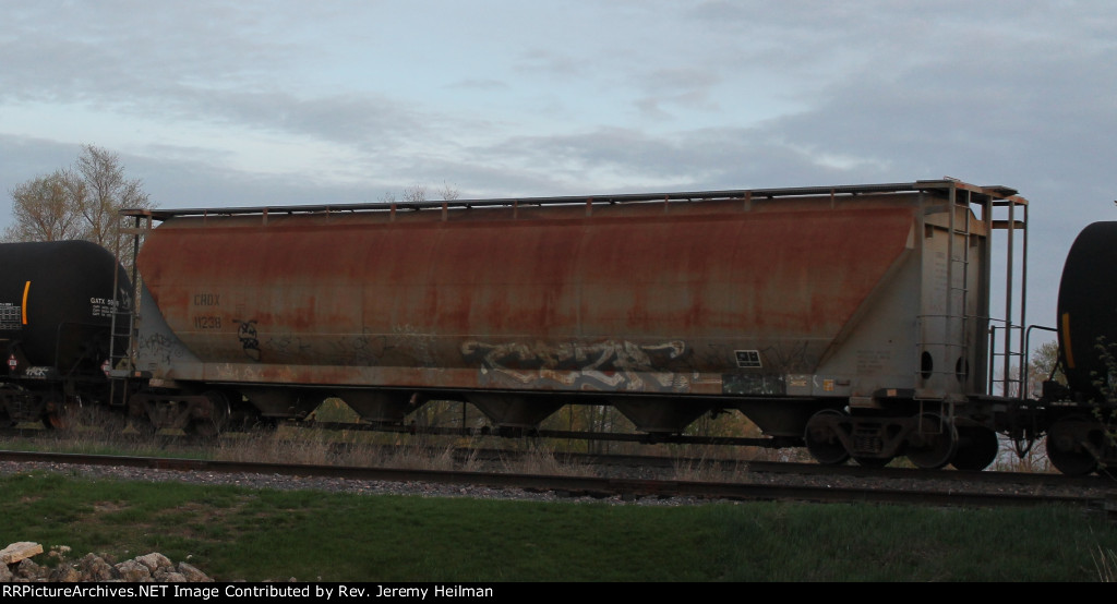 CRDX 11238 (1)